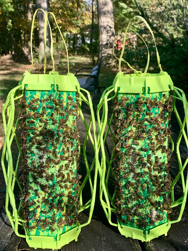 One month and they are full!