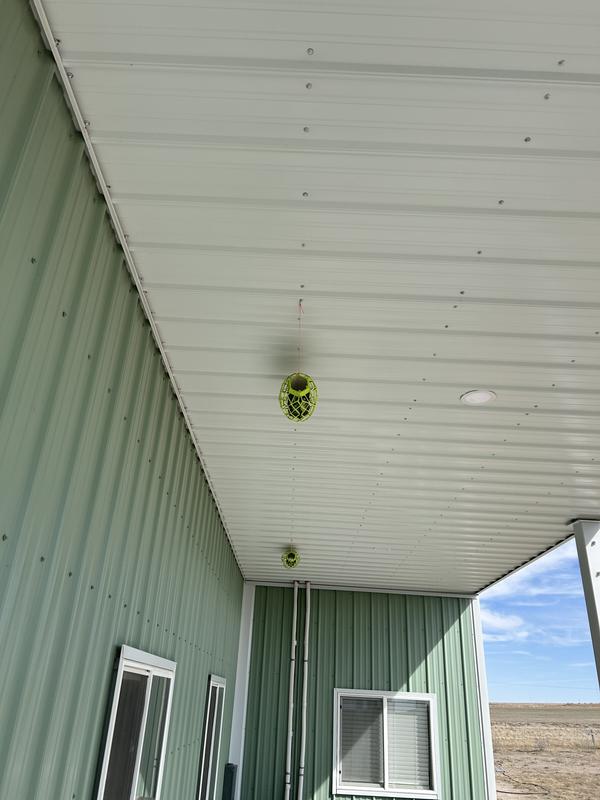 Hung from ceiling on porch