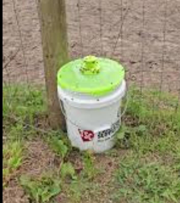 Rescue Fly Bucket Top