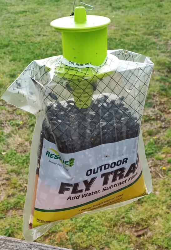 Aggressive Fly Control. Outdoor Pop Fly Trap 