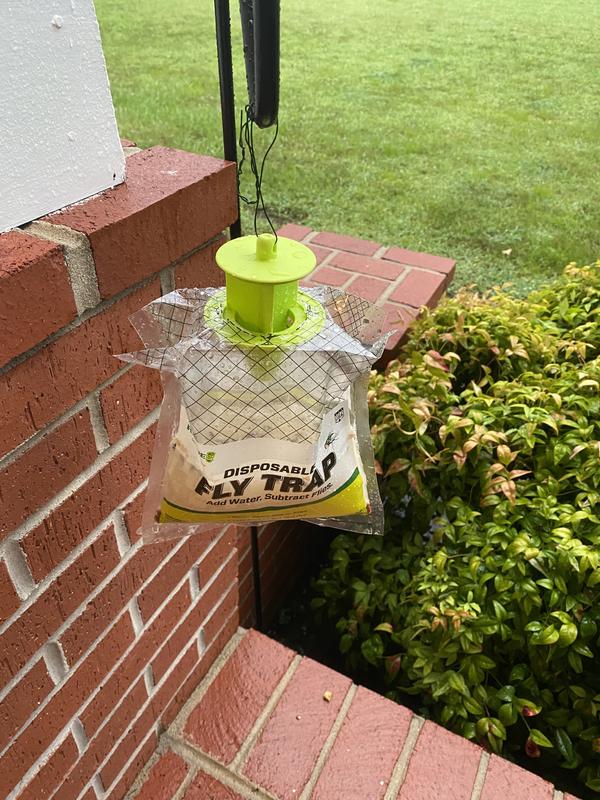 Best Fly Trap  The Rescue Fly Trap Review 
