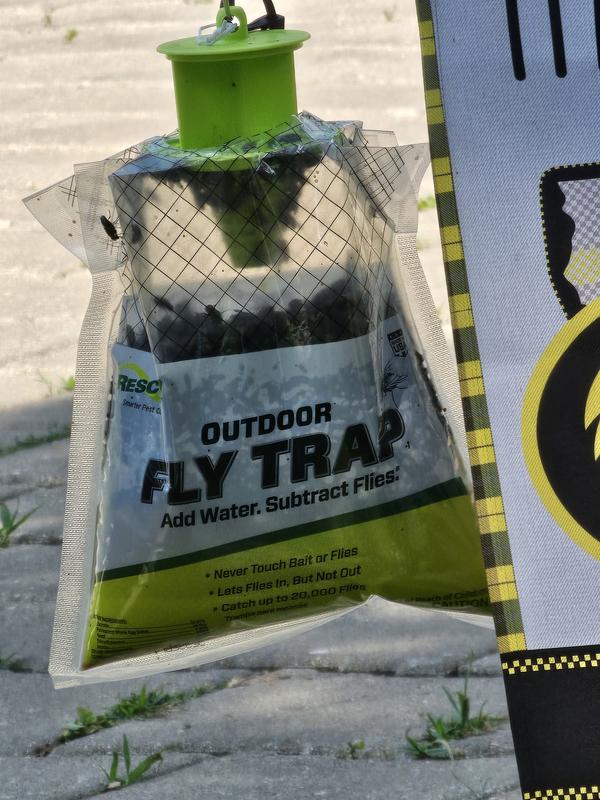 The best fly trap ever!  Wish I could upload video.