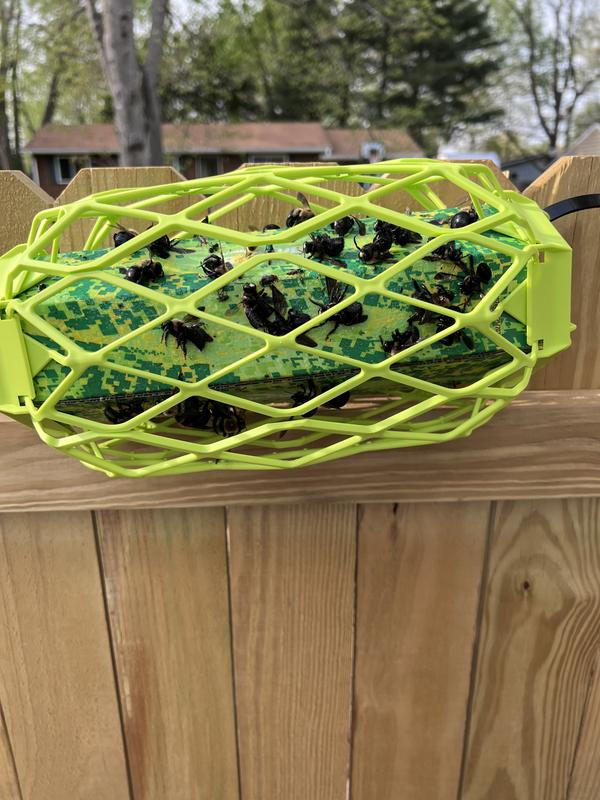 This was after 6 hours.