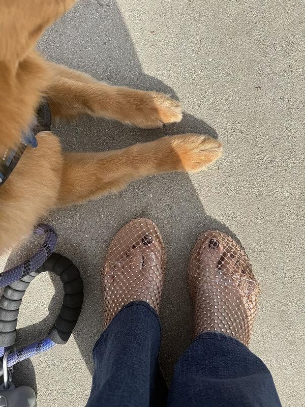 Review Thumbnail Image 0 377334844