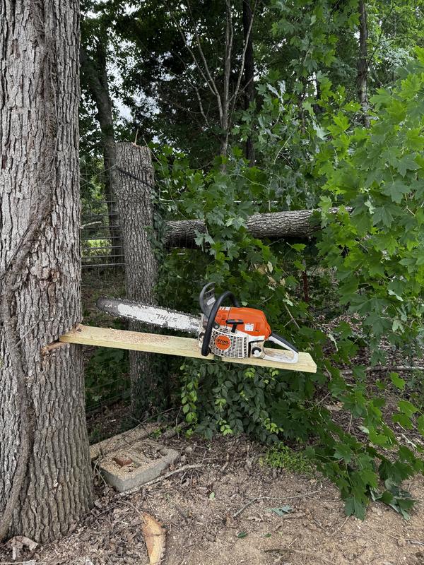 MS 261 Gasoline Chainsaw | STIHL
