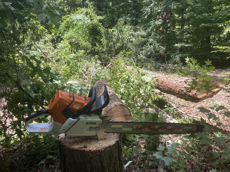 MS 661 Gasoline Chainsaw | STIHL