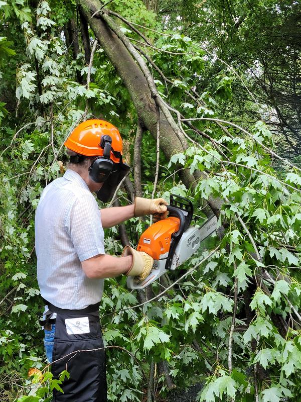 STIHL Chainsaw Protective Apron Chaps Protective Apparel STIHL USA