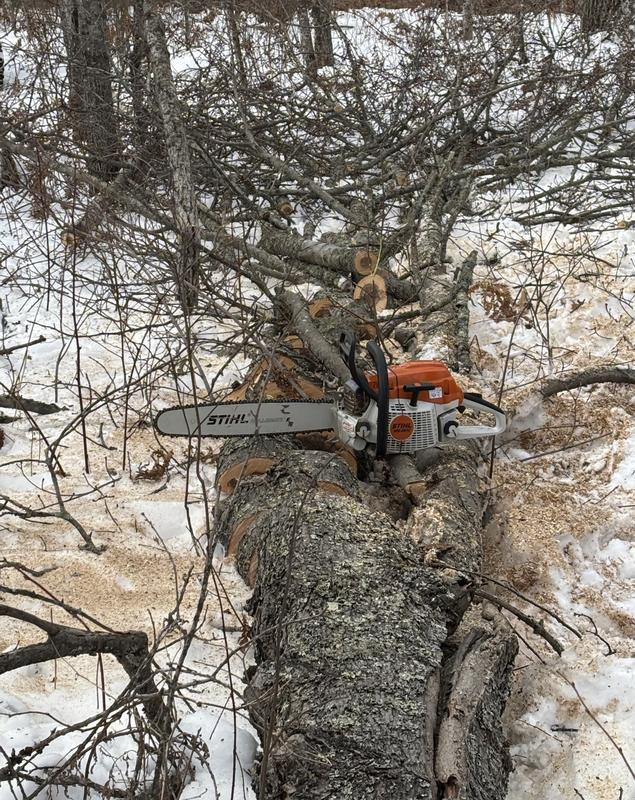 MS 261 Gasoline Chainsaw