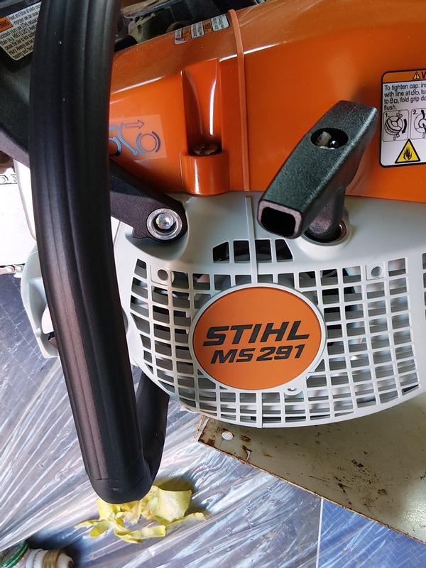 MS 291 Gasoline Chainsaw