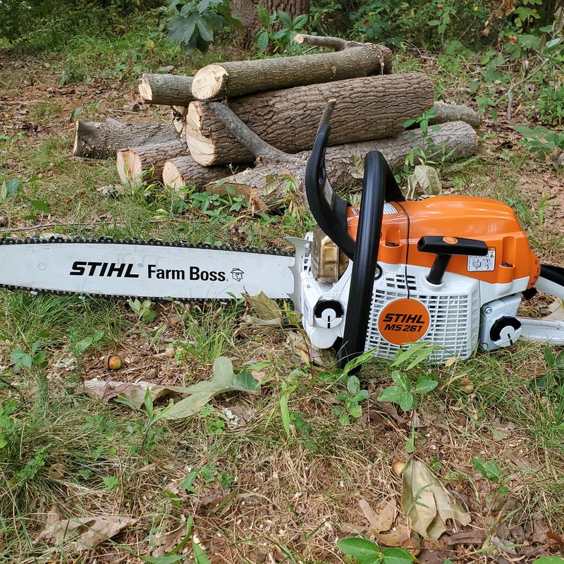 MS 261 Gasoline Chainsaw