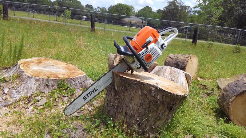 Motosega STIHL MS 391 