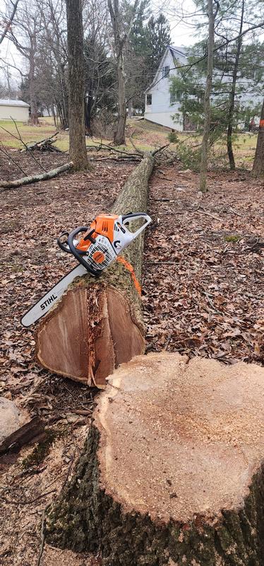 Stihl MS 500i For Sale by ForestWorks