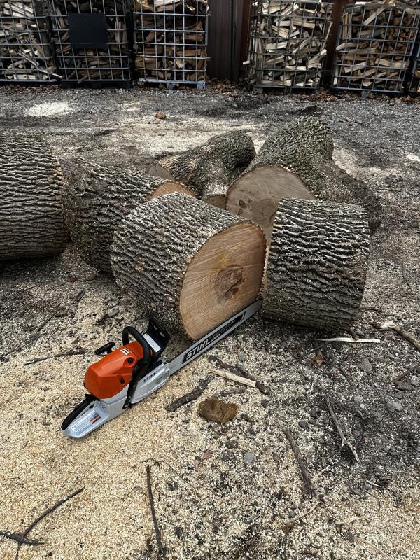 MS 462 Gasoline Chainsaw | STIHL