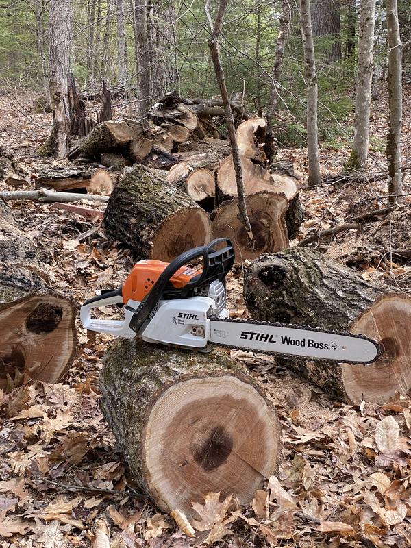 STIHL Wood Boss MS 251 18 in. 45.6 cc Gas Chainsaw