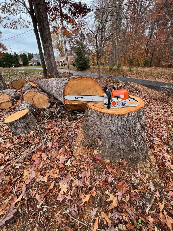 CHAINSAW, Stihl MS-391 %5 OFF!!! Discounts @ CHECKOUT!!! FREE SHIPPING –  Agri Products