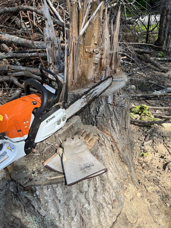 Retiring the other leg of the chainsaw chaps with Stihl MS 362 