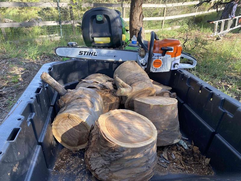 MS 400 Gasoline Chainsaw