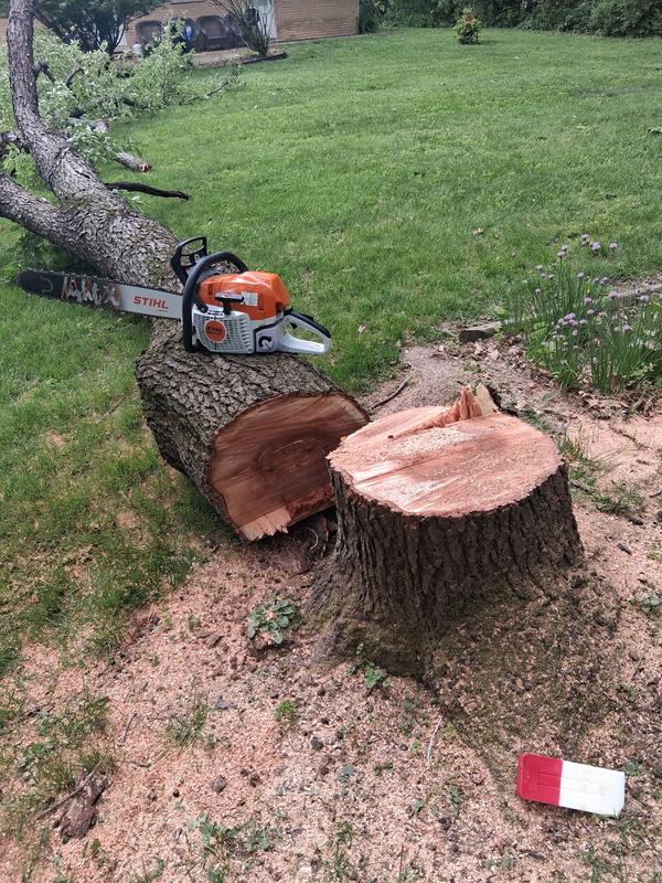 MS 400 Gasoline Chainsaw | STIHL