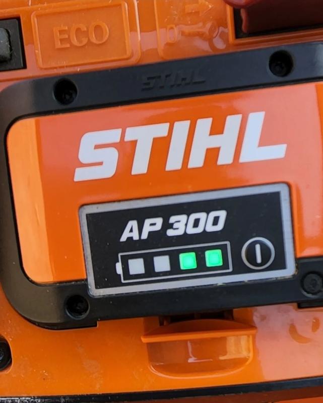 RMA Echevarría Stihl SEA 20