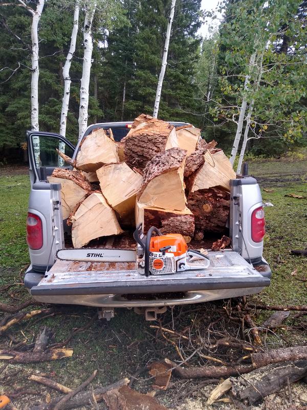 STIHL MS 391 Chainsaw - Fuel-Efficient Chainsaws