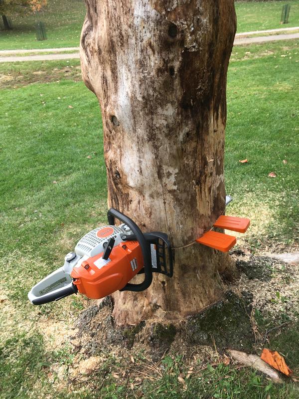 What is Chainsaw Oil & Why Do You Need It? Tutorial from Gardening Products  Review