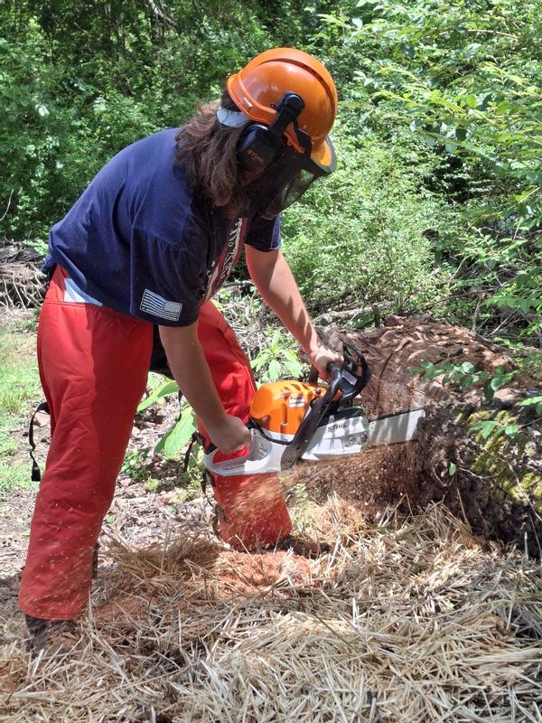 MS 362 Gasoline Chainsaw