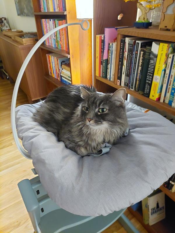 Review Thumbnail Image 0 1215397044