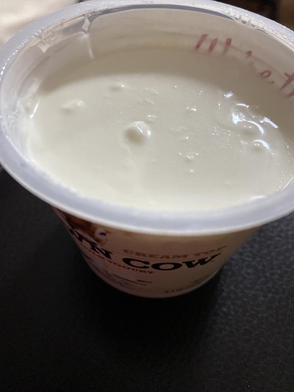 Plain Brown Yogurt