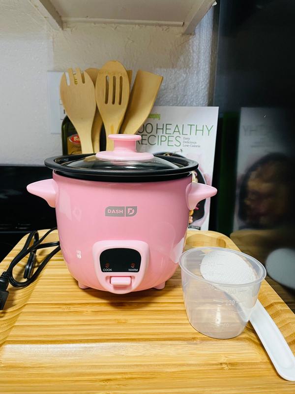 Dash Mini Rice Cooker and Steamer - Aqua