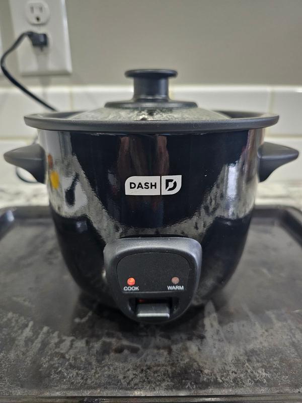 Dash Mini Rice Cooker, Aqua