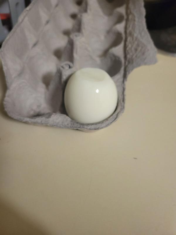 Dash GO Black Rapid 6 Egg Cooker DEC005BK - Bed Bath & Beyond