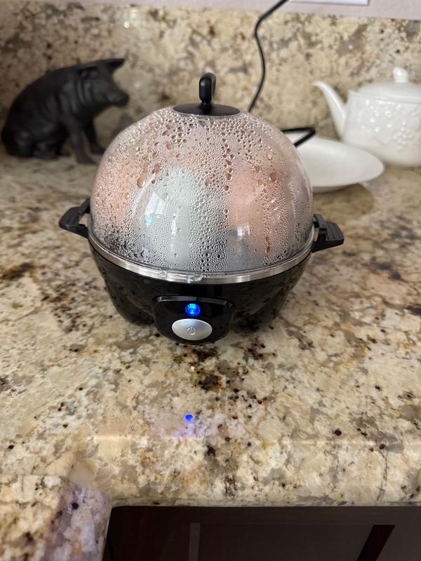 最安値　dinoworks egg foodie black L StoreBound Black Egg Cooker in the Specialty Small Kitchen