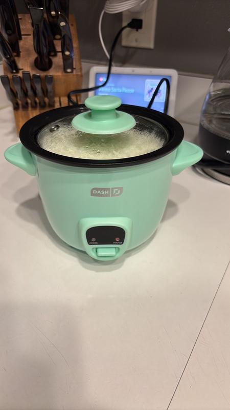 Dash Mini Rice Cooker, Aqua Meijer