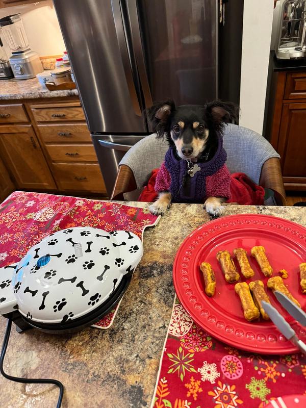 Kitchen countertop treat maker is for the dogs - CNET