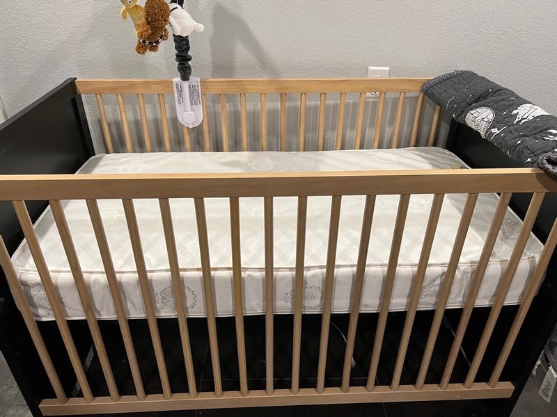 Photo from christinar155