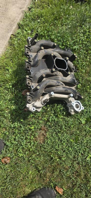 Summit Racing™ Premium Ford 4.6L 2V Intake Manifold for Mustang