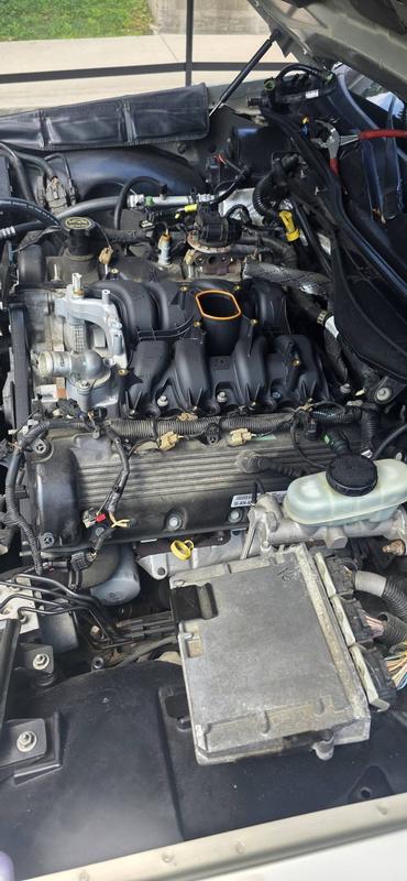 Summit Racing™ Premium Ford 4.6L 2V Intake Manifold for Mustang