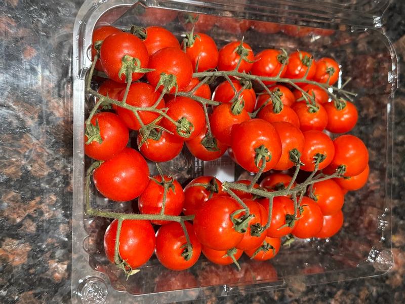 Flavor Bombs Tomatoes, 12 oz
