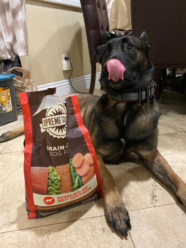 Supreme source grain discount free dog food reviews