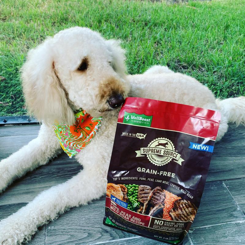 Is Wild Boar Dog Food Good For Dogs