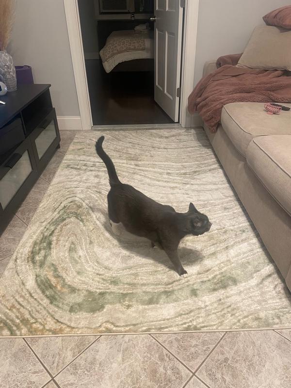 Livabliss 5 X 7 (ft) Sage/Gray Indoor Mid-century Modern Area Rug ...