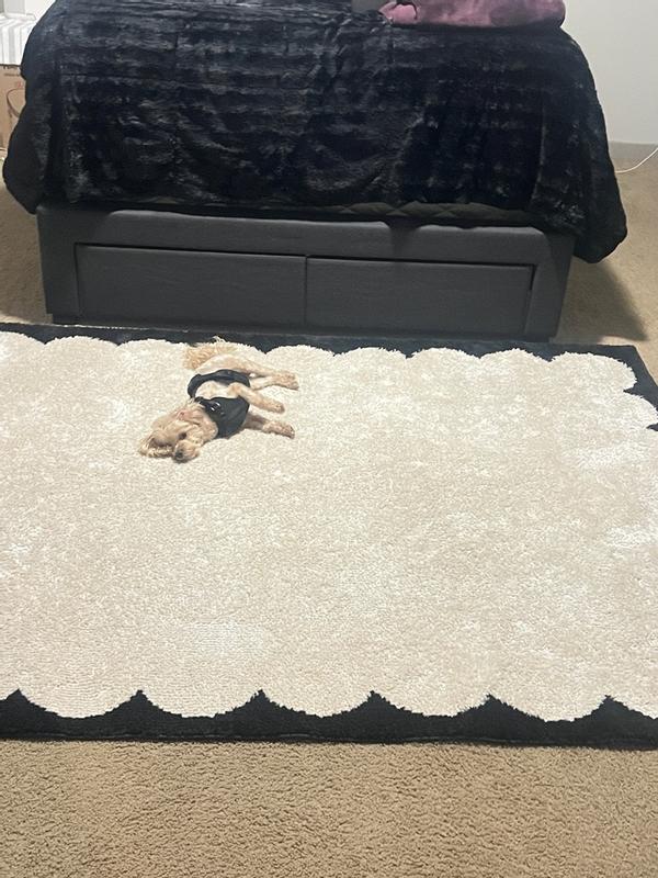 Livabliss Fossay Shag 3-ft x 2-ft Flatweave Polyester Ivory/Rose ...