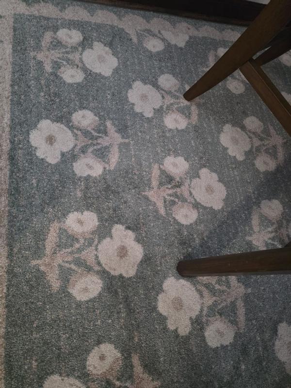 Livabliss Louise JYLS-2302 6 7 x 9 Machine Woven Rug at Lowes.com
