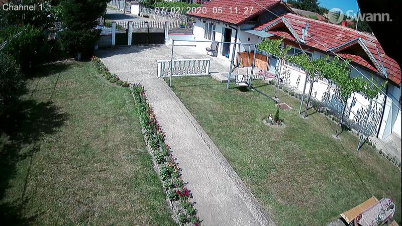 Swann 1142080 2025