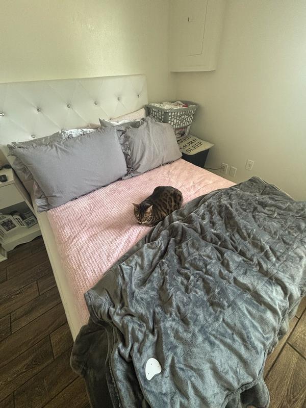 Sweet Home Collection Premium Zippered Mattress or Box Spring ...