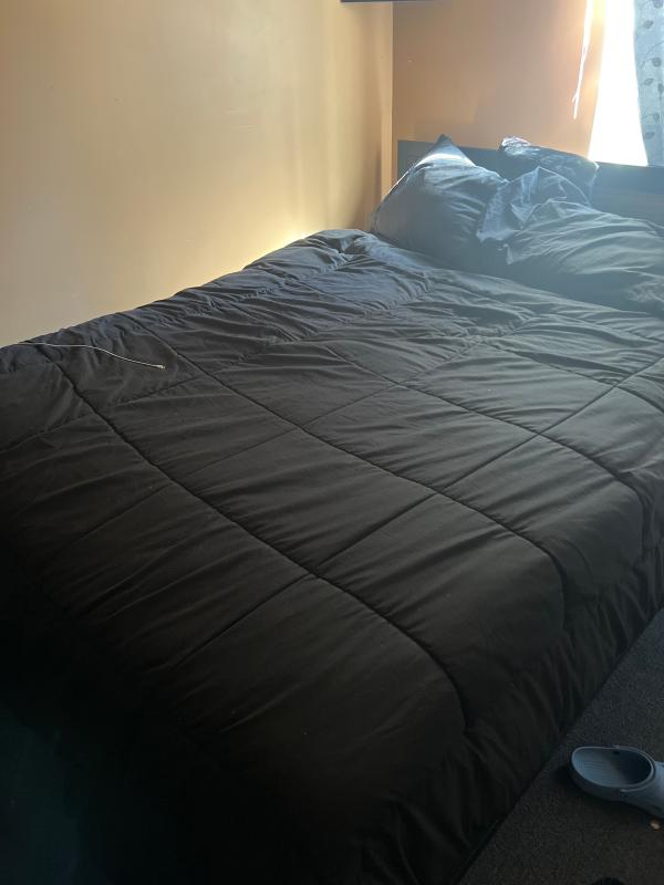 Amazing Comforter!!!!!