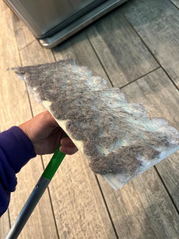 Dogs' hair, daughters' hair be gone