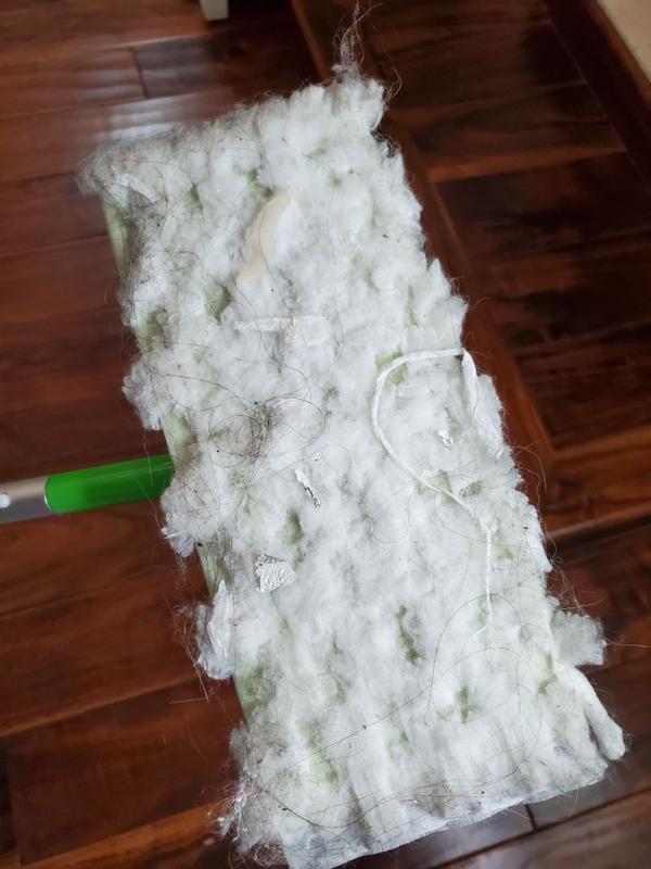 Photo - commentaire&nbsp;1.