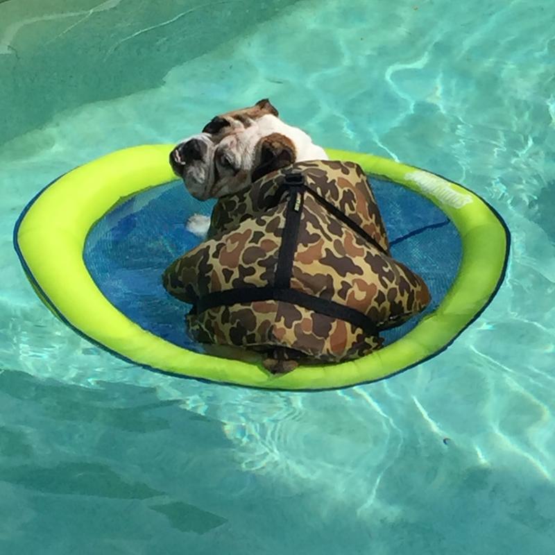 I wove my mew floatie mom