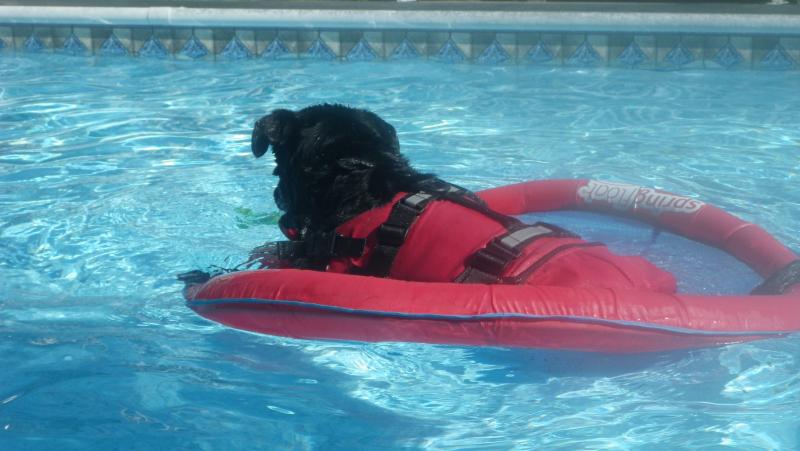 The whole family uses them!